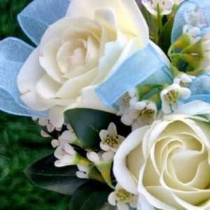 Meet your Posher, Madison